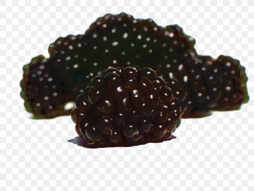 Fruit Cartoon, PNG, 850x638px, Rubus, Berry, Blackberry, Boysenberry, Brambles Download Free