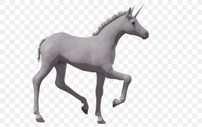 Horse Foal Colt Unicorn Drawing, PNG, 1024x645px, Horse, Animaatio, Animal Figure, Black And White, Colt Download Free