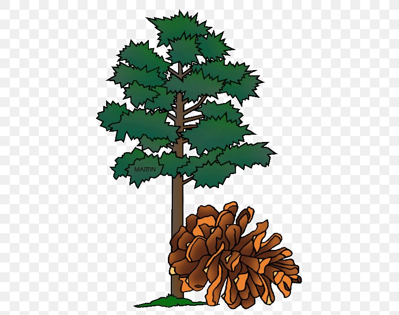Minnesota Tree Pine Oak Clip Art, PNG, 451x648px, Minnesota, American Larch, American Pitch Pine, Arbor Day, Bigtree Download Free