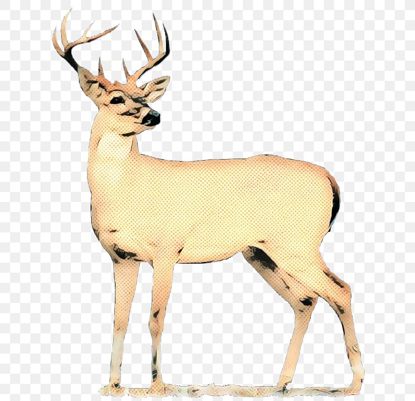Reindeer White-tailed Deer Antler Antelope, PNG, 644x794px, Reindeer, Animal, Animal Figure, Antelope, Antler Download Free
