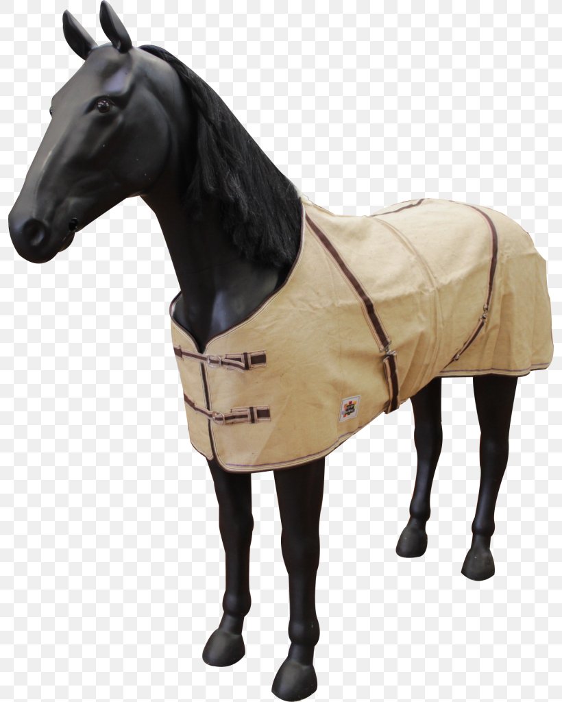 Shetland Pony Horse Blanket Withers Halter, PNG, 796x1024px, Pony, Blanket, Bridle, Equine Conformation, Halter Download Free