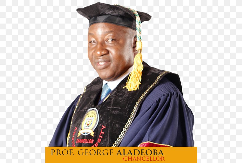 Academician Academic Dress Graduation Ceremony Academic Degree Clothing, PNG, 516x554px, Academician, Academic Degree, Academic Dress, Clothing, Diploma Download Free