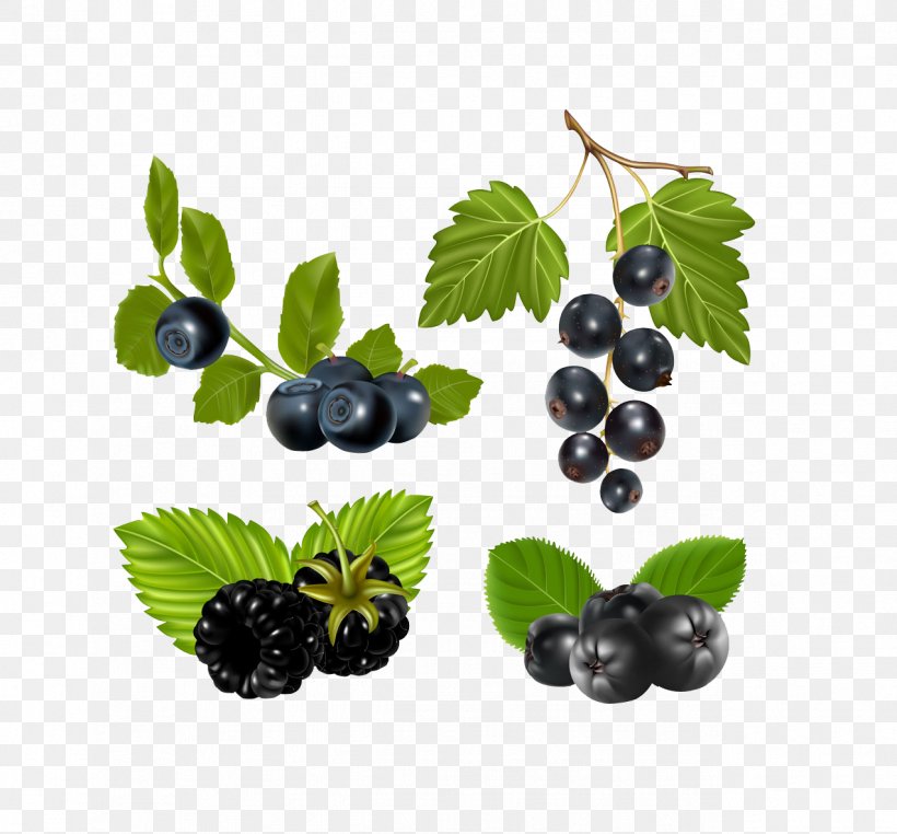 Chokeberry Royalty-free Illustration, PNG, 1274x1184px, Berry, Bilberry, Blackberry, Blueberry, Chokeberry Download Free