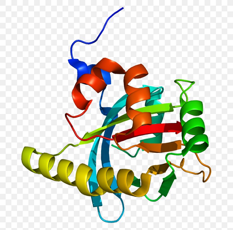 Gene Histone Deacetylase Protein Stylus, PNG, 719x807px, Watercolor, Cartoon, Flower, Frame, Heart Download Free