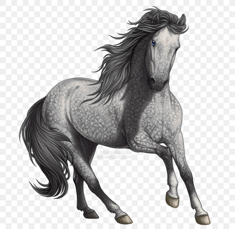 Horse Mane Gray Drawing DeviantArt, PNG, 800x800px, Horse, Animal Figure, Art, Black And White, Bridle Download Free