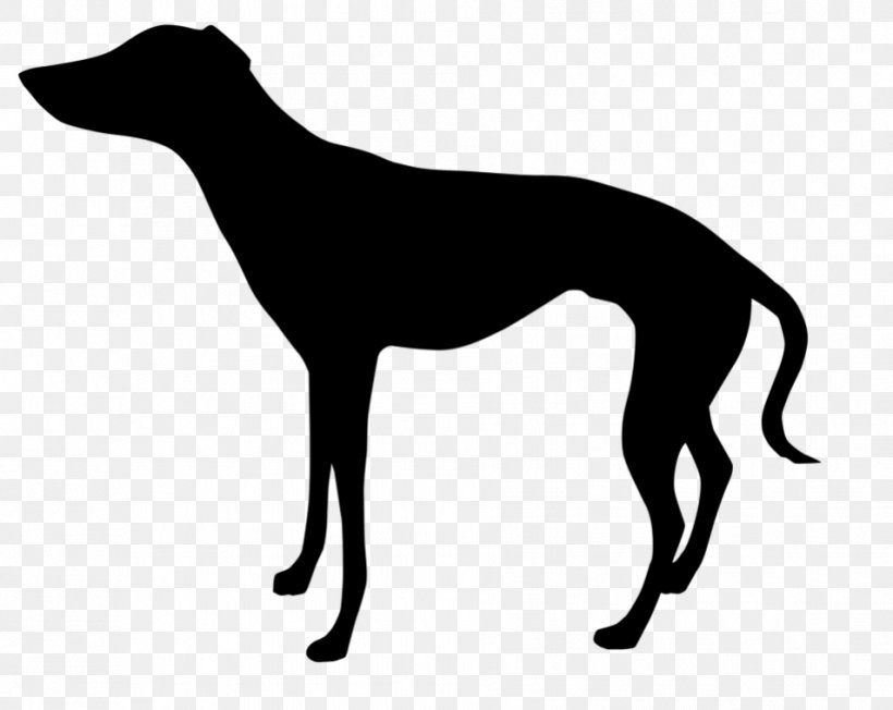 Italian Greyhound Whippet Clip Art Silhouette, PNG, 954x759px, Greyhound, American Staghound, Art, Azawakh, Canidae Download Free