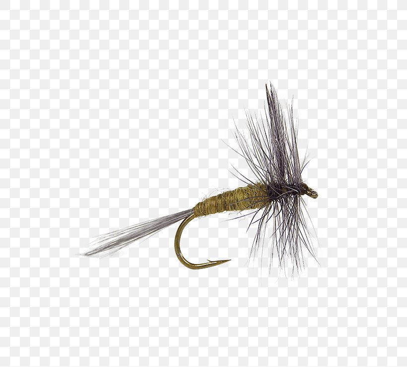 Artificial Fly Dry Fly Fishing Fly Tying, PNG, 555x741px, Fly, Artificial Fly, Baetis, Blue, Dry Fly Fishing Download Free