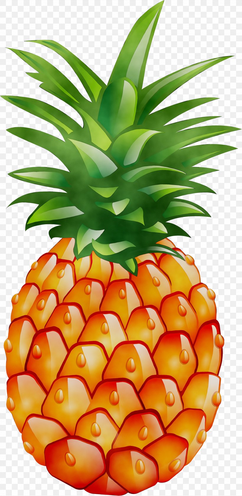 Pineapple Image Desktop Wallpaper Food, PNG, 3193x6546px, Pineapple, Ananas, Bromeliaceae, Designer, Flowering Plant Download Free