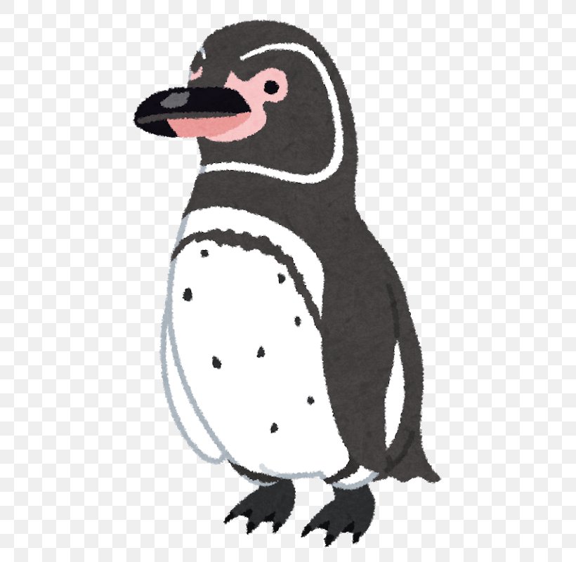 Galapagos Penguin New Year Card Magellanic Penguin, PNG, 583x800px, Penguin, African Penguin, Animal, Beak, Bird Download Free