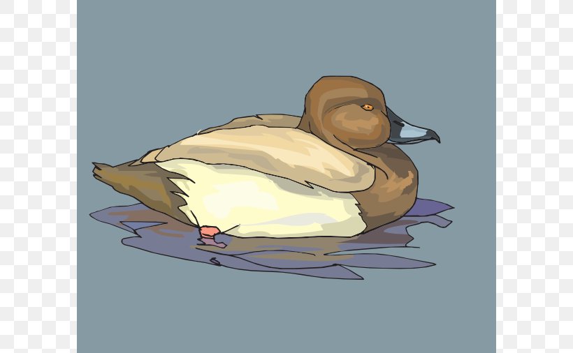 Mallard Duck Bird Swimming Clip Art, PNG, 600x506px, Mallard, Beak, Bird, Duck, Ducks Geese And Swans Download Free