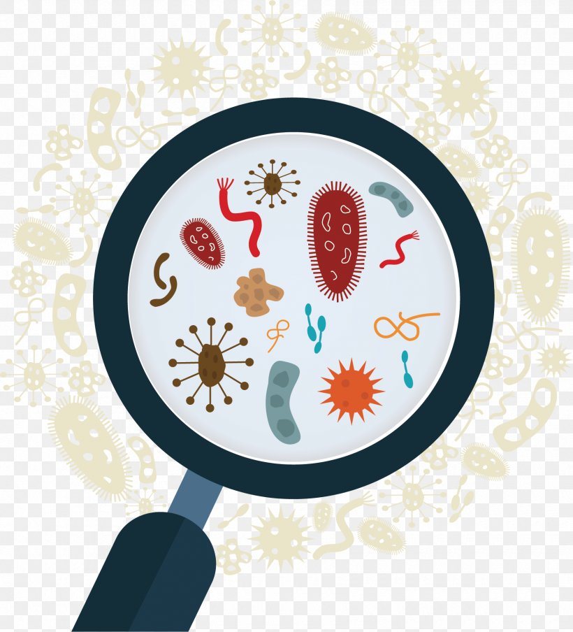 Vector Graphics Stock Illustration Microorganism Bacteria, PNG
