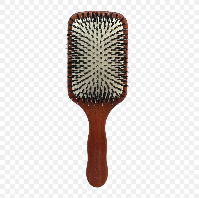 Brush Bristle Comb Hair Wild Boar, PNG, 611x817px, Brush, Aluminium, Bristle, Centimeter, Comb Download Free