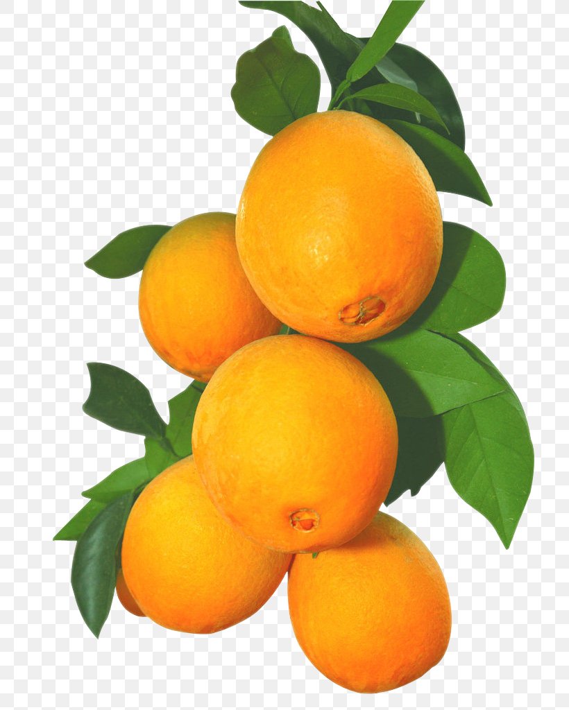 Juice Clementine Orange Fruit, PNG, 758x1024px, Juice, Apricot, Bitter Orange, Blood Orange, Calamondin Download Free