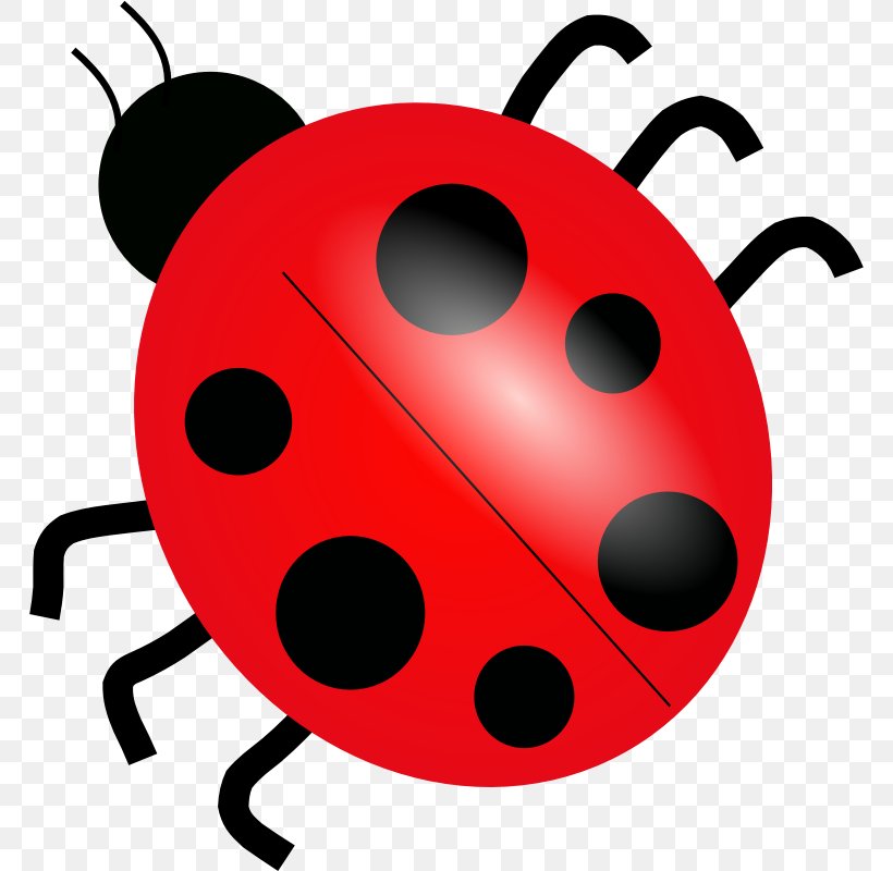 Ladybird Drawing Clip Art, PNG, 800x800px, Ladybird, Artwork, Beetle, Cartoon, Drawing Download Free