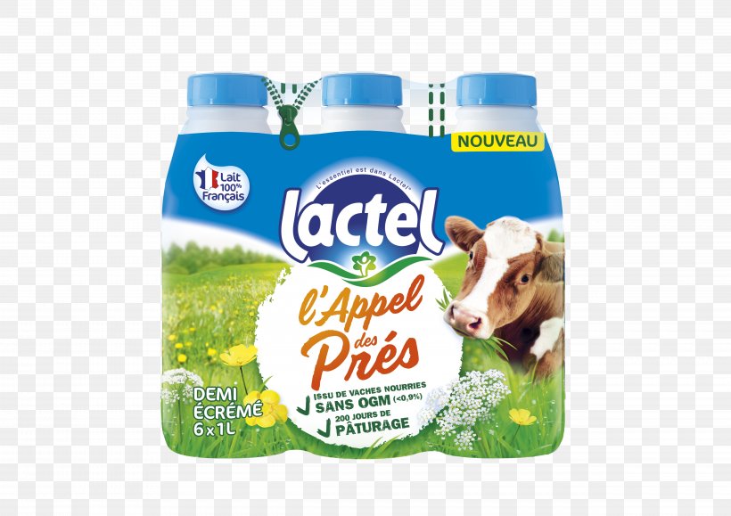 Reduced Fat Milk Café Au Lait Lactel Ultra-high-temperature Processing, PNG, 4961x3508px, Milk, Cafe Au Lait, Dairy Product, Dairy Products, Lactel Download Free