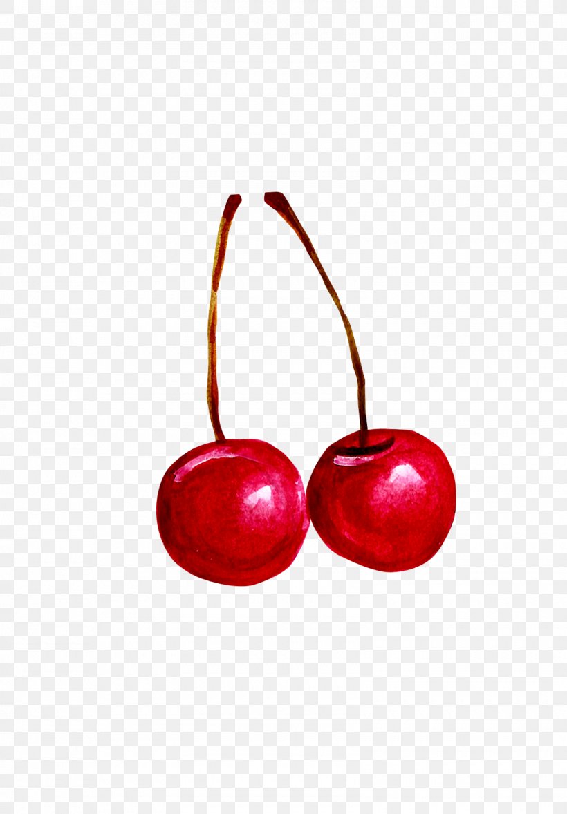 Cherry Fruit Download, PNG, 1600x2300px, Cherry, Auglis, Cartoon, Food, Fruit Download Free