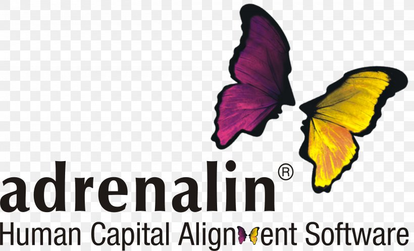 Human Resource Management System Adrenalin ESystems Business Computer Software, PNG, 4500x2728px, Human Resource Management System, Brand, Brush Footed Butterfly, Business, Business Process Download Free