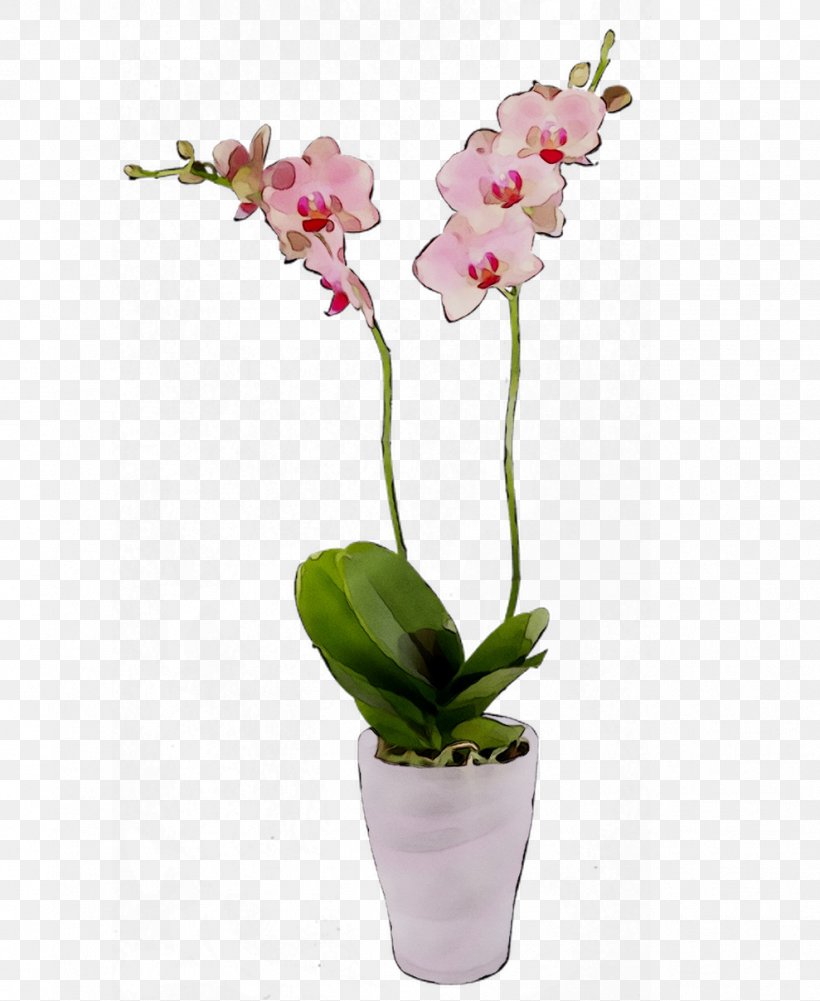 Moth Orchids Cut Flowers Cattleya Orchids Flowerpot, PNG, 989x1208px, Moth Orchids, Artificial Flower, Cattleya Orchids, Cut Flowers, Dendrobium Download Free