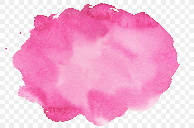Pink Petal Magenta, PNG, 2820x1859px, Pink, Magenta, Petal Download Free