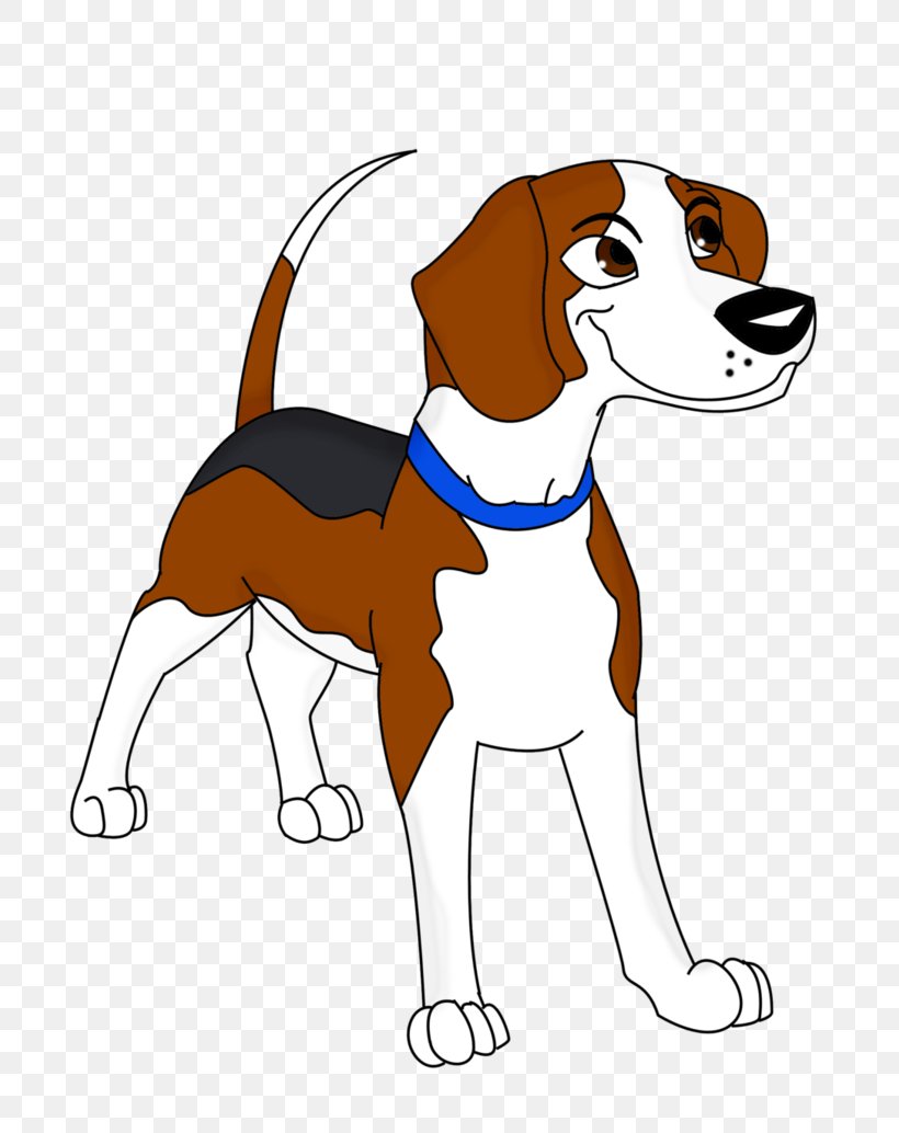 Beagle English Foxhound American Foxhound Harrier Treeing Walker Coonhound, PNG, 772x1034px, Beagle, American Foxhound, Black And Tan Coonhound, Breed, Carnivoran Download Free