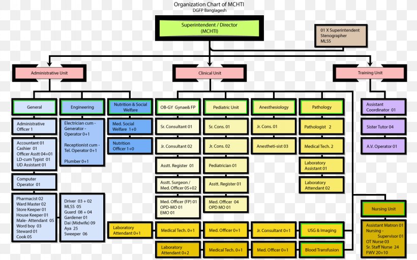 Organizational Chart Organizational Structure Diagram, PNG, 1280x800px, Organizational Chart, Area, Chart, Diagram, Material Download Free