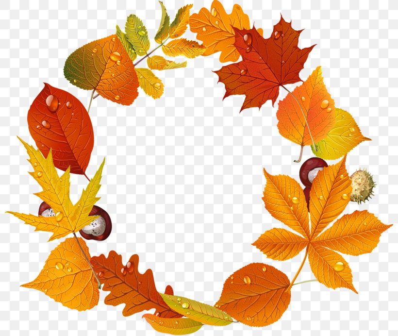 Paper Autumn Leaf Clip Art, PNG, 800x692px, Paper, Autumn, Flower, Fototapeta, Fruit Download Free