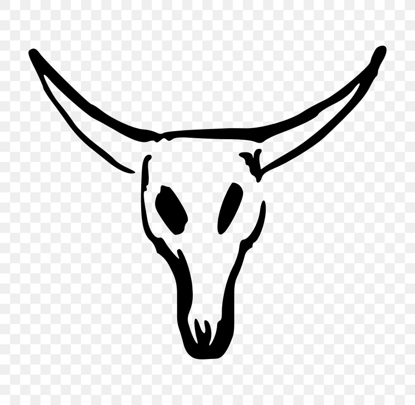 Texas Longhorn Skull Clip Art, PNG, 800x800px, Texas Longhorn, Black And White, Bone, Bull, Cattle Download Free