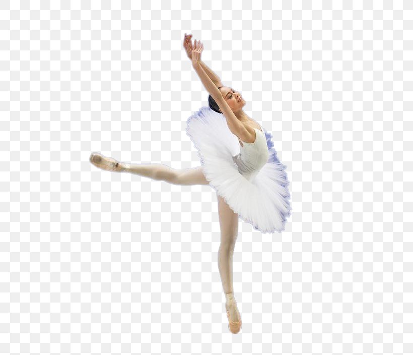Ballet Dancer Ballet Dancer, PNG, 500x704px, Watercolor, Cartoon, Flower, Frame, Heart Download Free