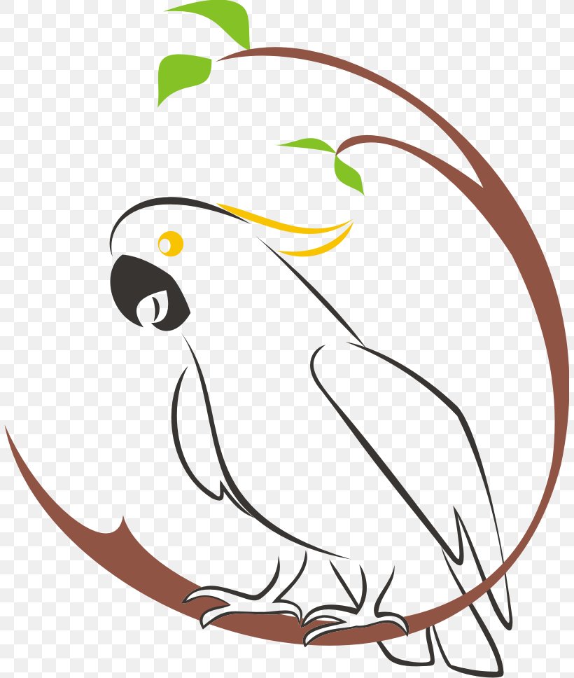 Cockatoo Logo Clip Art, PNG, 807x968px, Cockatoo, Area, Art, Artwork, Beak Download Free