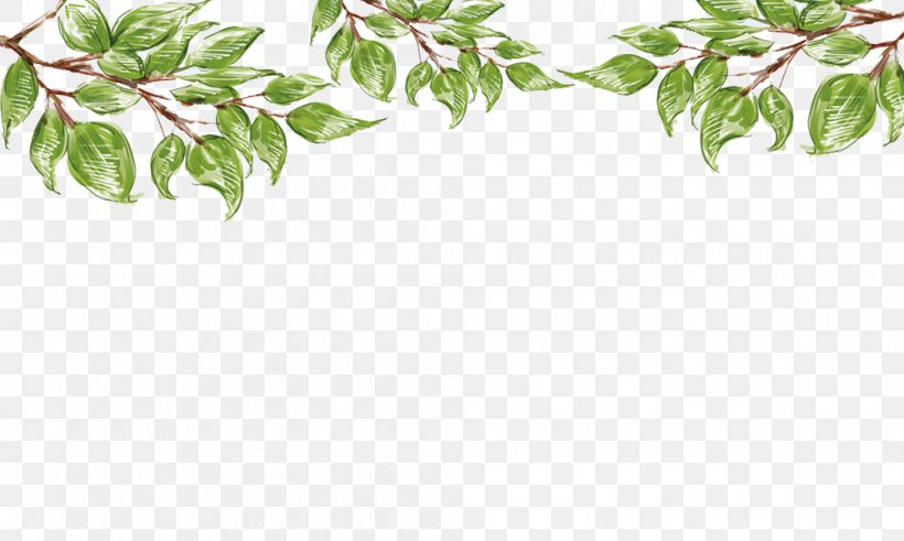 Leaf Cymbopogon Citratus Watercolor Painting, PNG, 1001x600px, Leaf, Branch, Cymbopogon Citratus, File Viewer, Floral Design Download Free