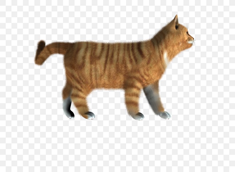 Manx Cat Toyger Adobe Acrobat Clip Art, PNG, 588x600px, Manx Cat, Adobe Acrobat, Carnivoran, Cat, Cat Like Mammal Download Free
