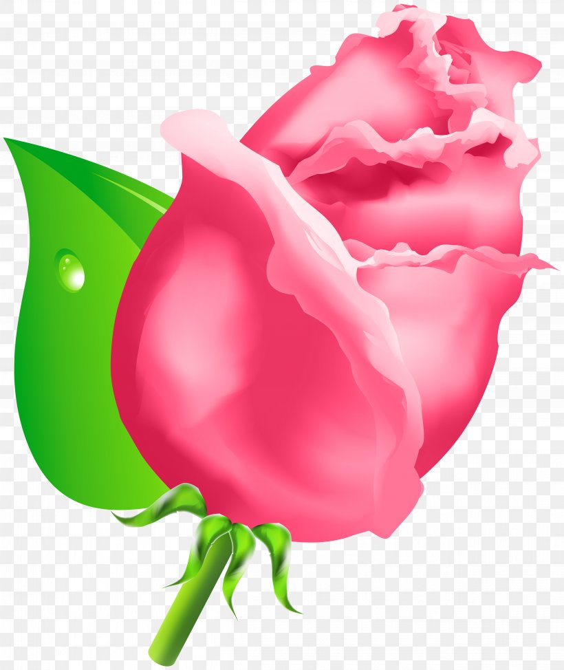 Rose Bud Clip Art, PNG, 5051x6000px, Rose, Bud, Flower, Flowering Plant, Garden Roses Download Free