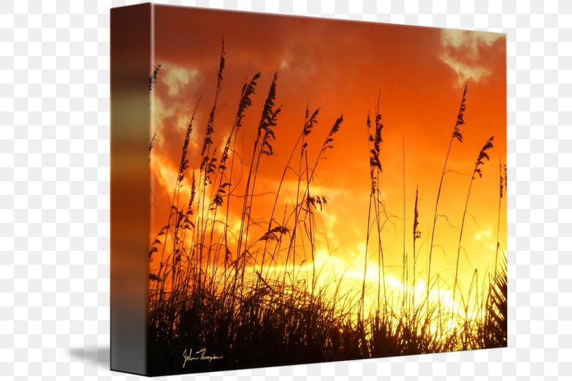 Desktop Wallpaper Stock Photography Heat Ecosystem, PNG, 650x547px, Stock Photography, Computer, Ecosystem, Family, Grass Download Free