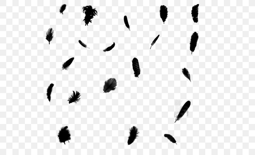 Feather Light Clip Art, PNG, 550x500px, Feather, Art, Black And White, Deviantart, Drawing Download Free