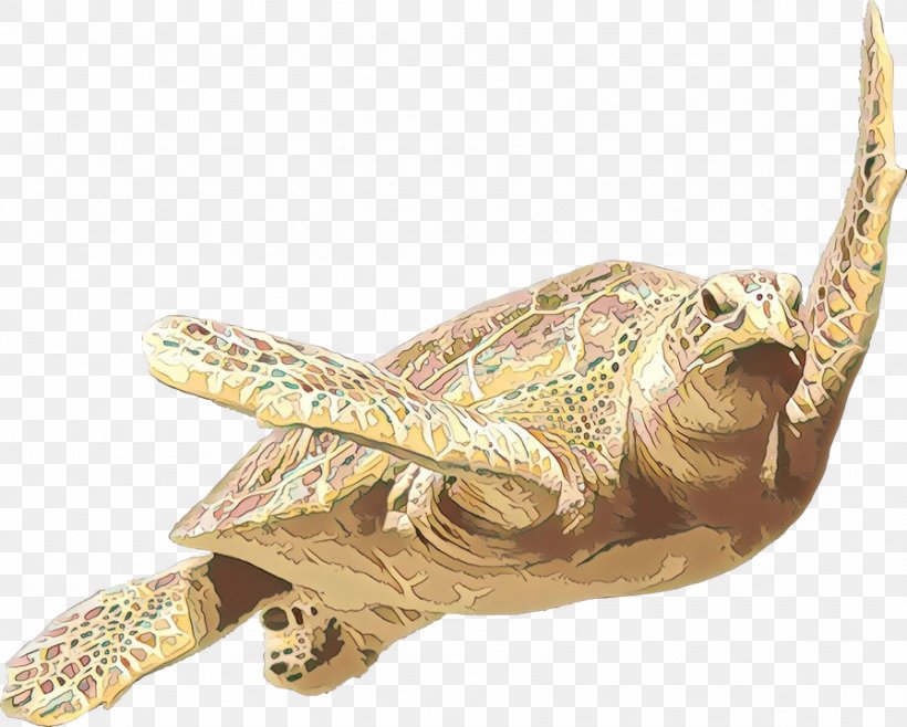Sea Turtle Background, PNG, 896x720px, Box Turtles, Animal, Pond Turtle, Reptile, Sea Turtle Download Free