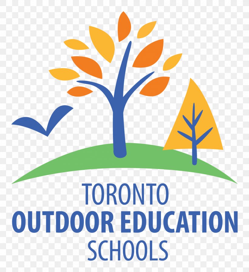 Toronto District School Board York Region District School Board Education Class, PNG, 1100x1201px, Toronto District School Board, Area, Artwork, Brand, Class Download Free