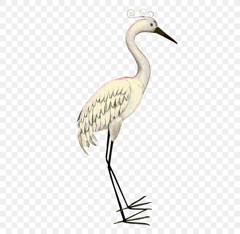 Domestic Goose Duck Bird Cygnini, PNG, 457x800px, Goose, Animal, Beak, Bird, Cartoon Download Free