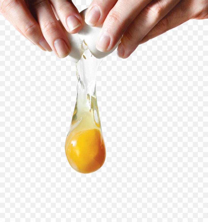Eggshell Yolk Stock Photography Egg White, PNG, 1000x1069px, Egg, Cooking, Egg White, Egg Yolk, Eggshell Download Free