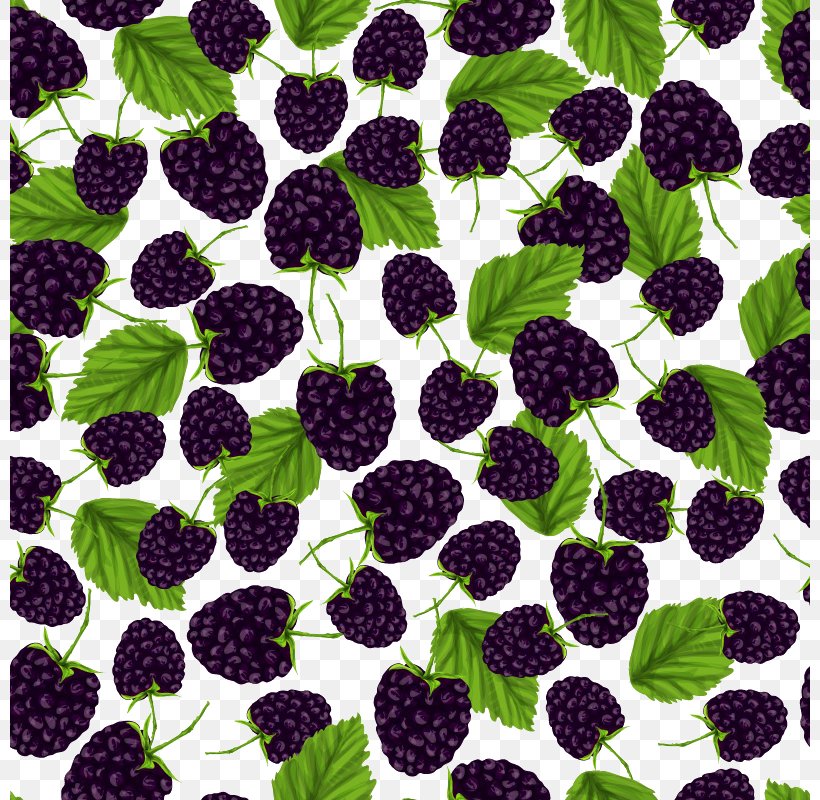 Frutti Di Bosco BlackBerry Pattern, PNG, 800x800px, Blackberry, Berry, Bilberry, Blueberry, Boysenberry Download Free