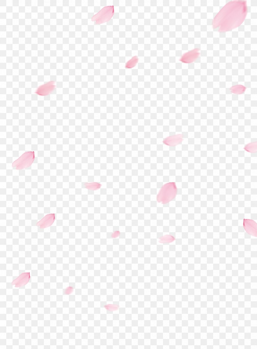 Cherry Blossom Flower, PNG, 2480x3366px, Cherry Blossom, Blossom, Cherry, Flower, Heart Download Free