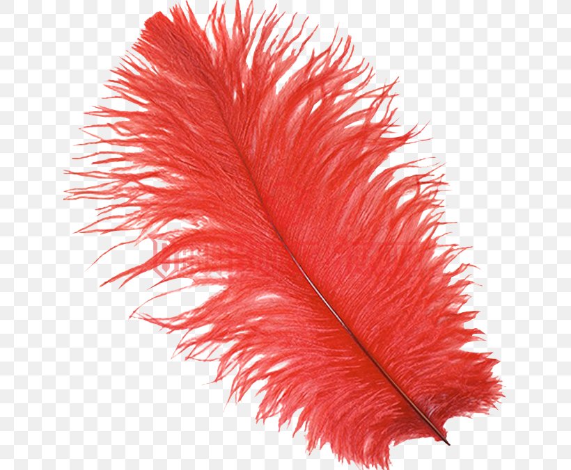Common Ostrich Feather Bird Plume Red, PNG, 676x676px, Common Ostrich, Bird, Color, Costume, Feather Download Free