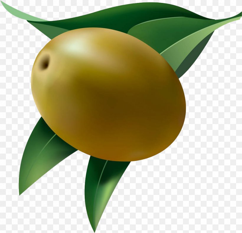 Fruit Olive Clip Art, PNG, 1000x963px, Fruit, Food, Leaf, Olive, Olive Leaf Download Free