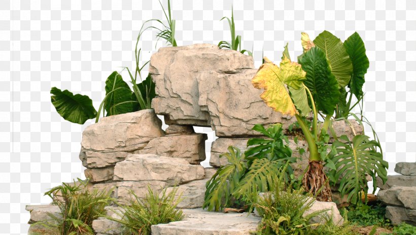 Garden Landscape Park, PNG, 1350x763px, Garden, Designer, Grass, Herb, Houseplant Download Free