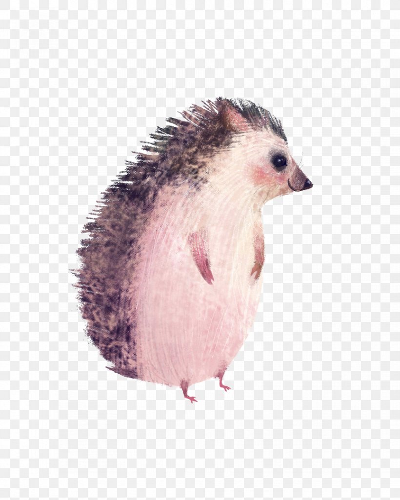 Hedgehog Drawing Animal Illustration, PNG, 864x1080px, Hedgehog, Animal, Art, Beak, Digital Illustration Download Free