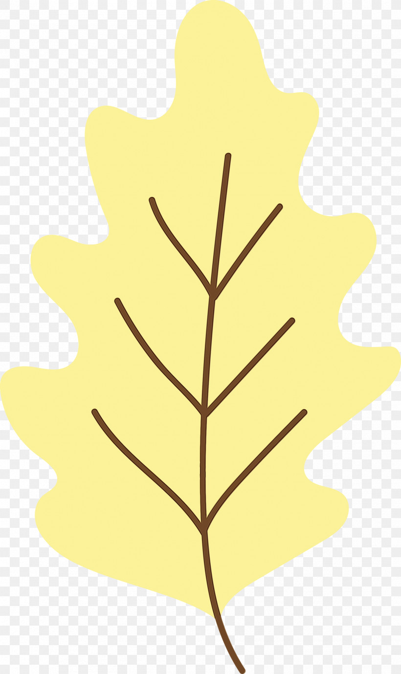 Leaf Yellow M-tree Line H&m, PNG, 1783x3000px, Watercolor, Biology, Flower, Hm, Leaf Download Free