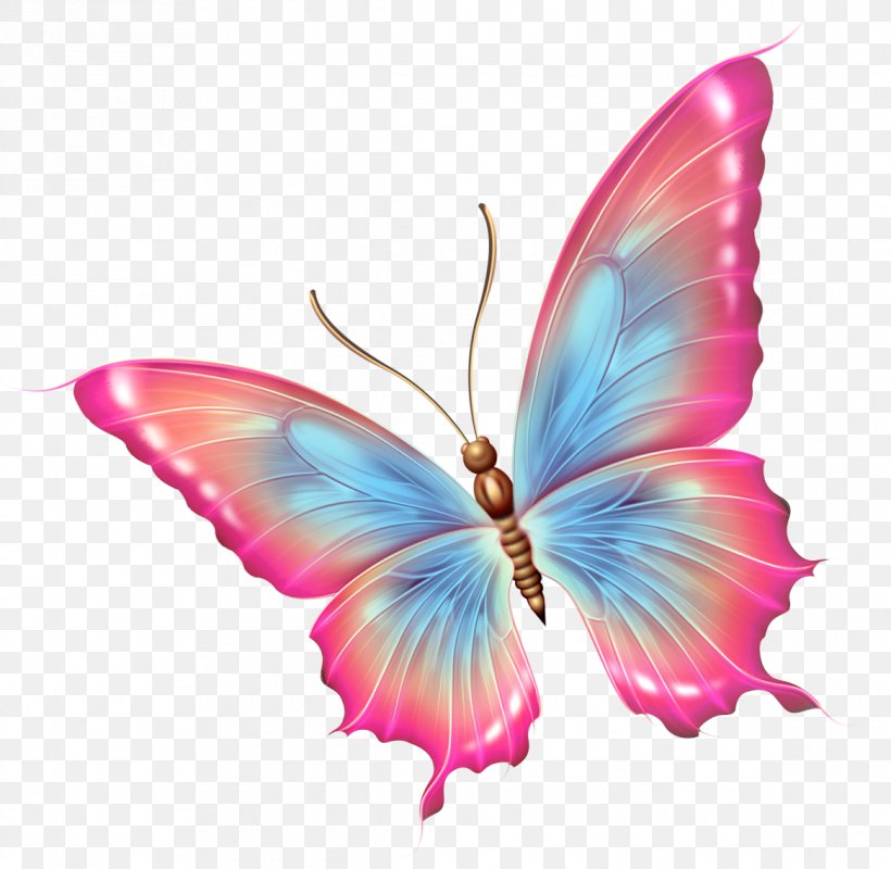 Butterfly Insect Clip Art, PNG, 1166x1138px, Butterfly, Brush Footed Butterfly, Butterflies And Moths, Decoupage, Female Download Free