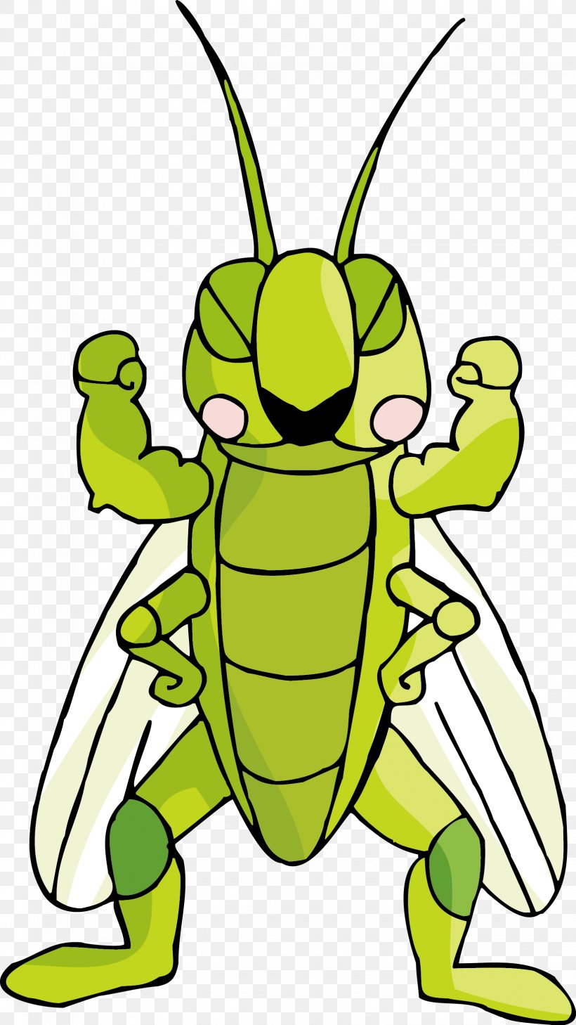 Insect Cartoon Locust Illustration, PNG, 1649x2934px, Insect, Animal, Artwork, Caelifera, Cartoon Download Free