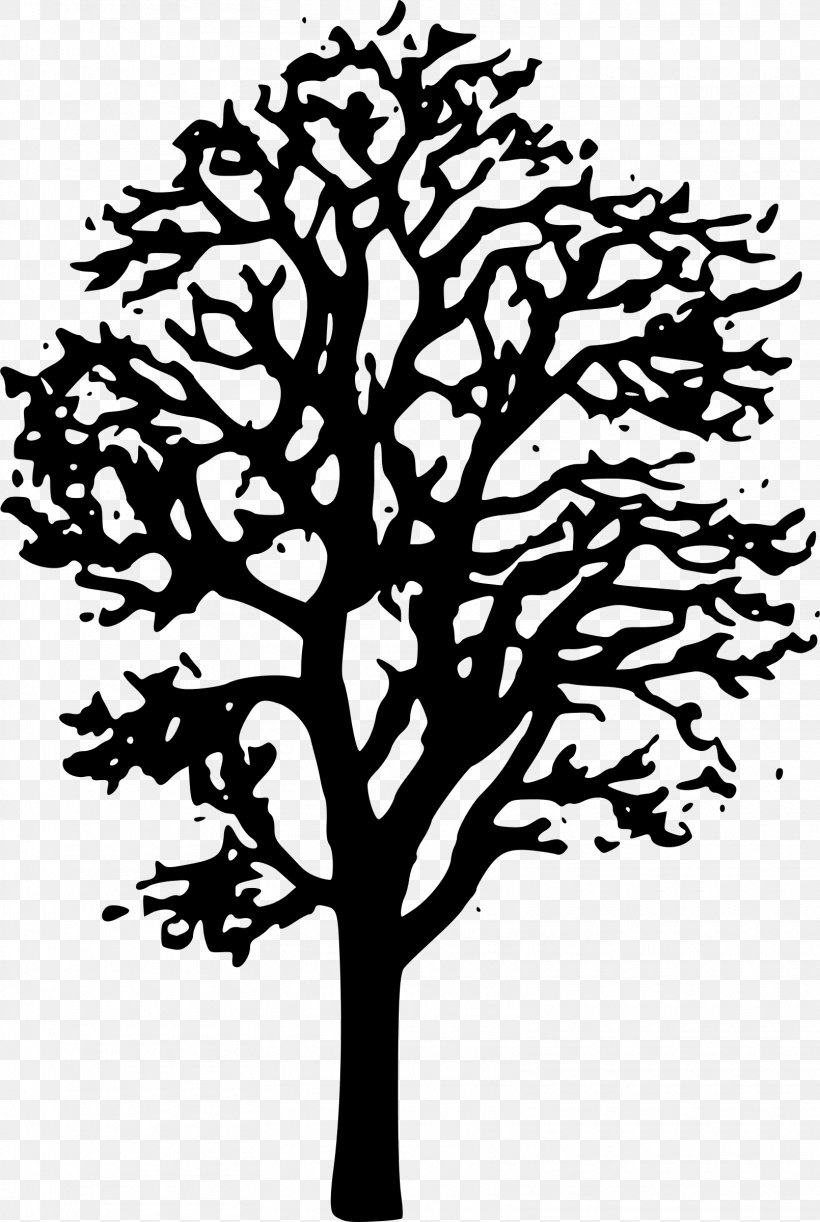 Japanese Maple Tree Clip Art, PNG, 1610x2400px, Japanese Maple, Art, Autumn Leaf Color, Black And White, Branch Download Free