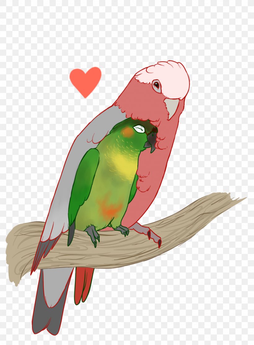 Macaw Parakeet Beak Feather, PNG, 1024x1392px, Macaw, Art, Beak, Bird, Common Pet Parakeet Download Free