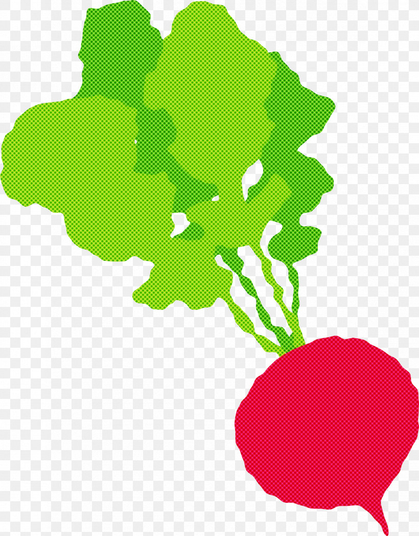 Radish, PNG, 2346x3000px, Radish, Branch, Flower, Green, Green Tea Download Free